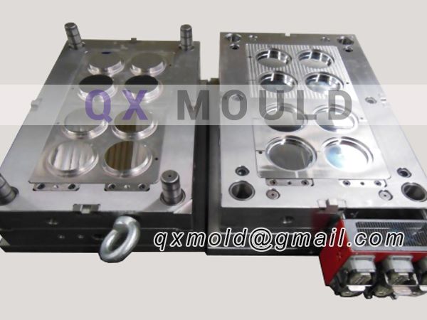 petri dish mould