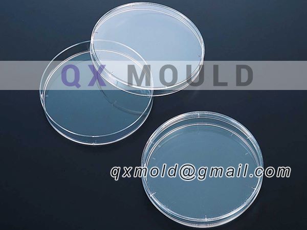 petri dish mould