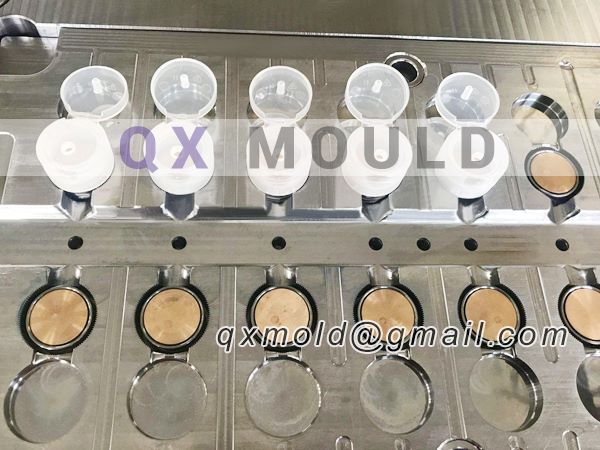 flip top cap mould