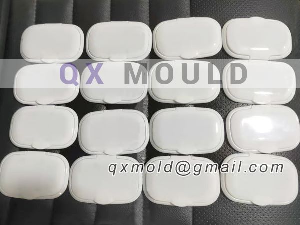 wet wipes cover mould
