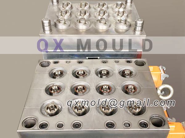 plastic cap mould